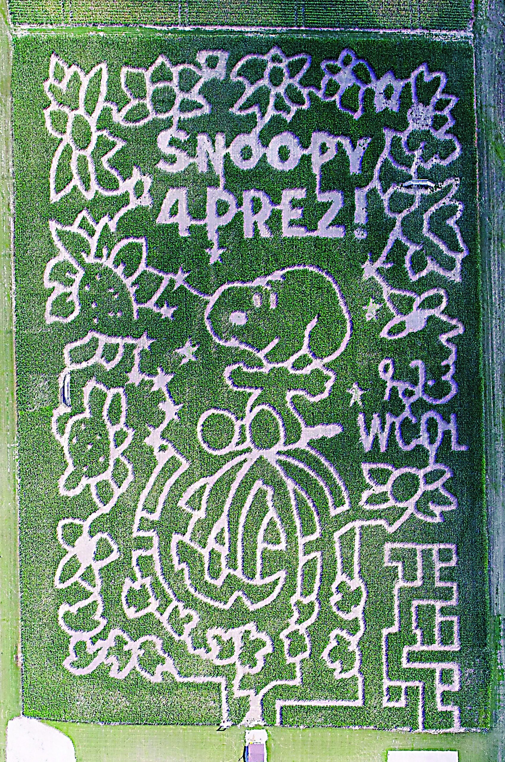 MAiZE celebrates Peanuts Marysville Journal Tribune