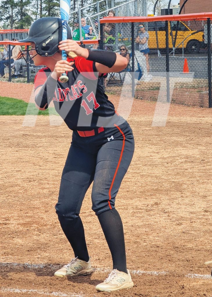 North Union athletes earn softball, baseball accolades for Central Buckeye Mad River Division